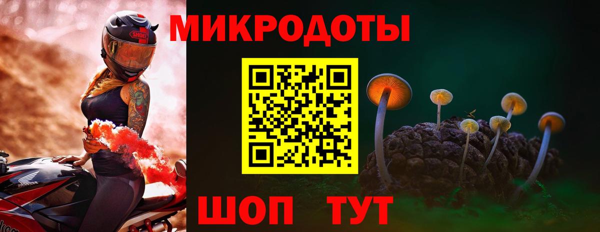 Псилоцибиновые грибы прущие грибы  Псилоцибиновые грибы прущие грибы  Вход с VPN  купить  цена  Геленджик 